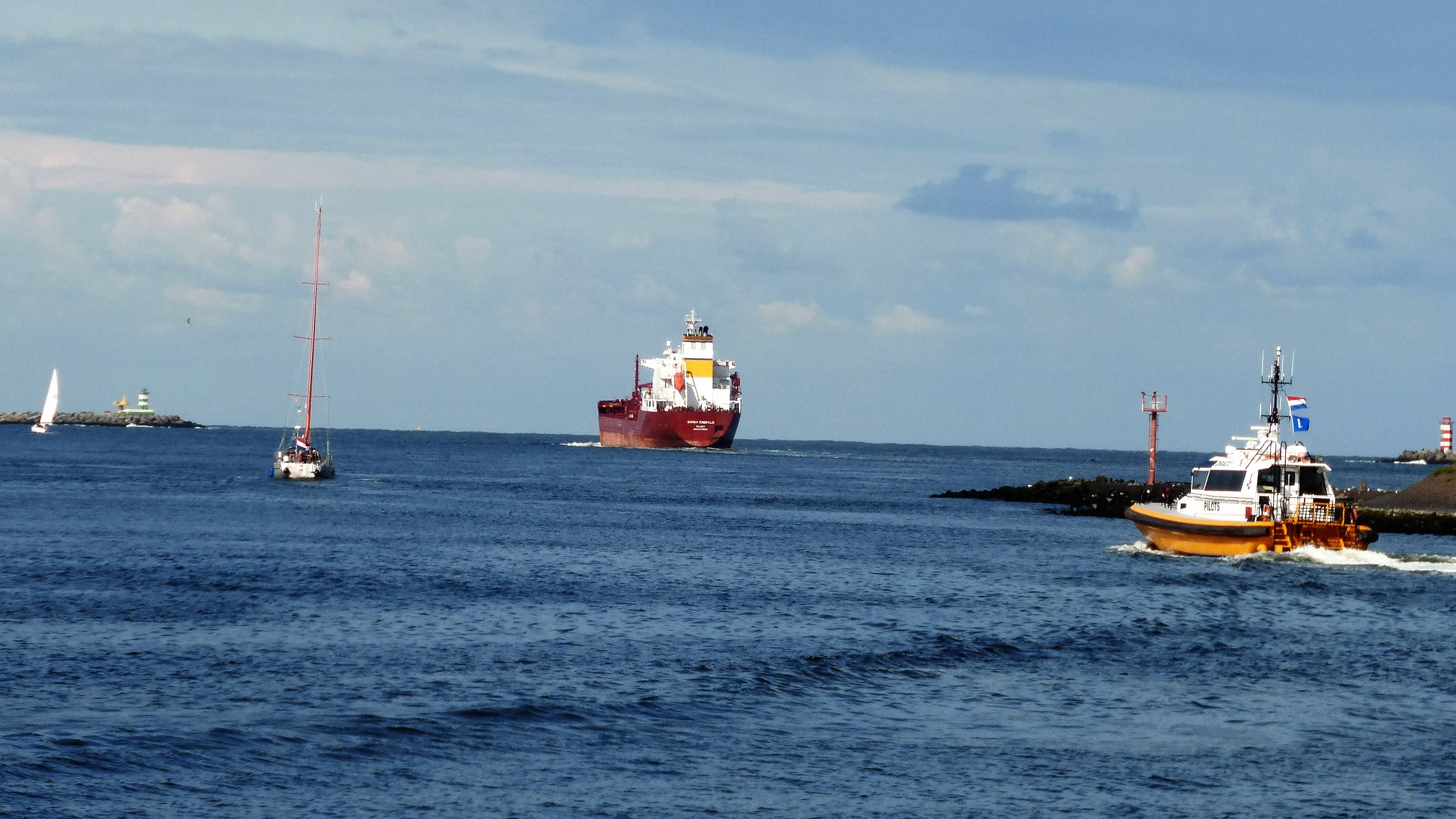 Pieren IJmuiden 26-08-18 